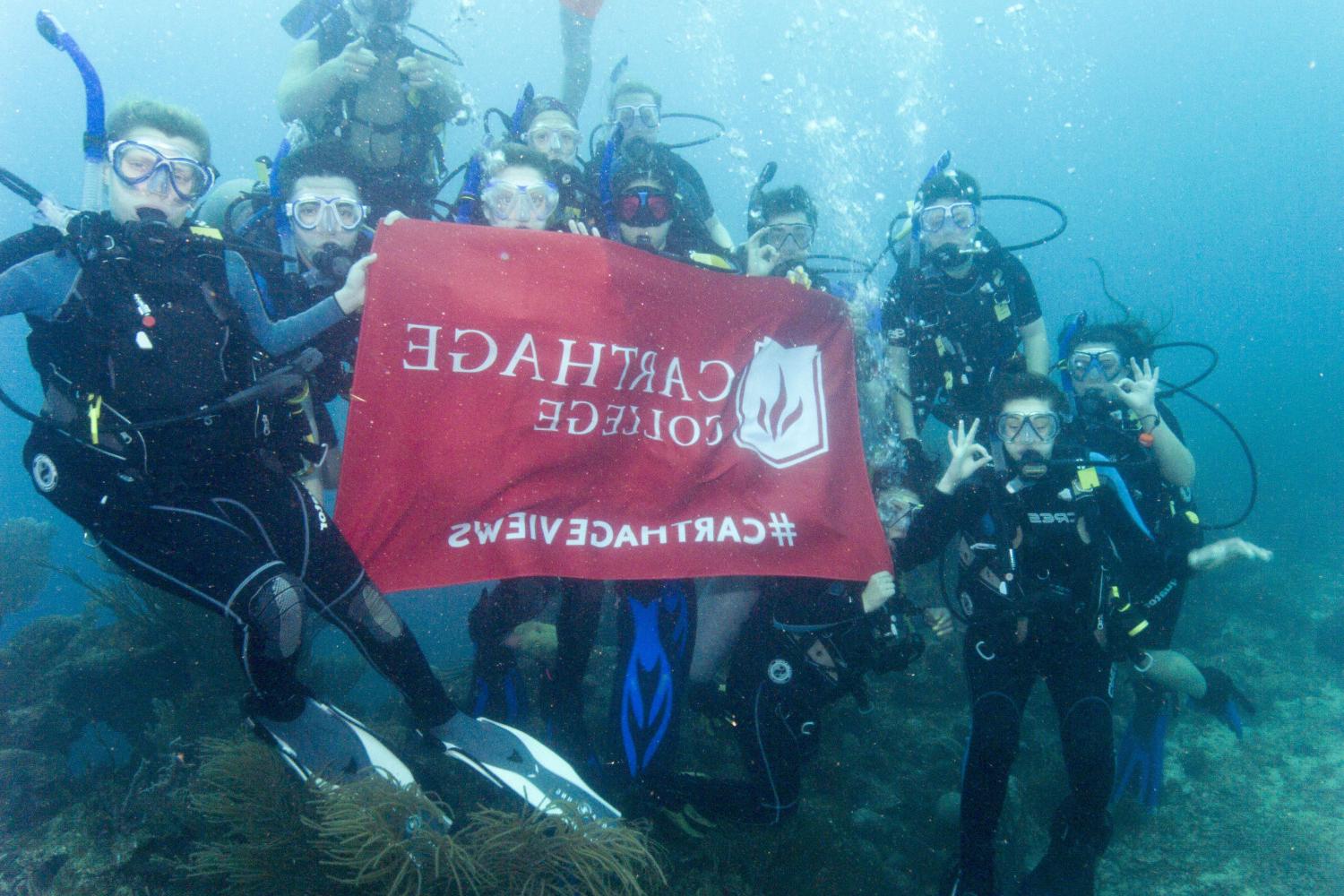 学生们手持<a href='http://etpk.ngskmc-eis.net'>博彩网址大全</a>旗帜，在j学期洪都拉斯游学之旅中潜水.